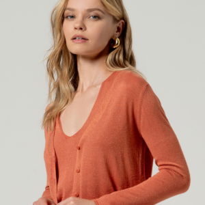 Cardigan col en V boutonné Brique